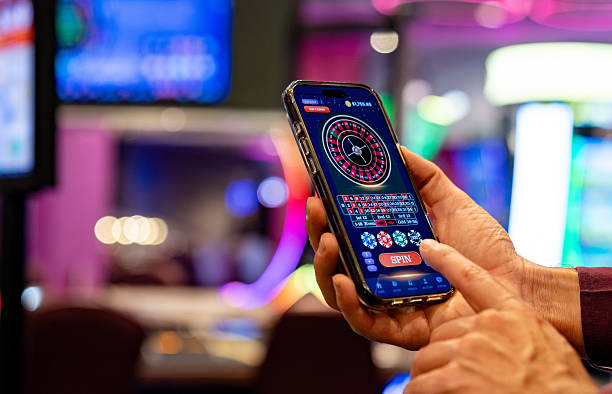 scatter911 Bandar Ceme betting interface showing hand values and payout rates